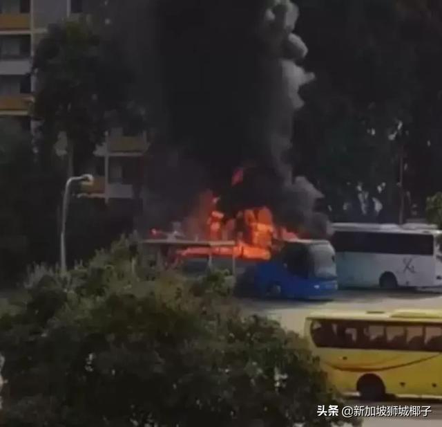 刚刚！新加坡公交车突发大火，浓烟滚滚