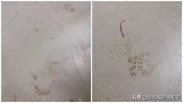 一天两起！新加坡惊天命案：他刺死母亲，活活打死阿嫲...