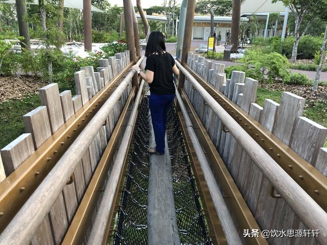 新加坡Jurong Lake Garden裕廊湖公园之美丽花草世界B魅力狮城