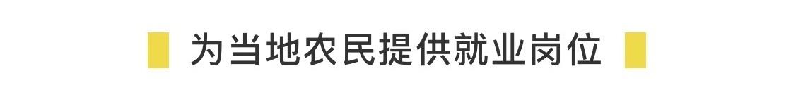 香港TVB老戲骨當紅時隱退，到廣東當農民，一做就是19年