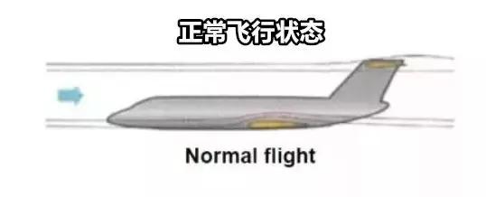 剛剛！中國官宣：全部停飛！這機型新加坡卻還有31架......