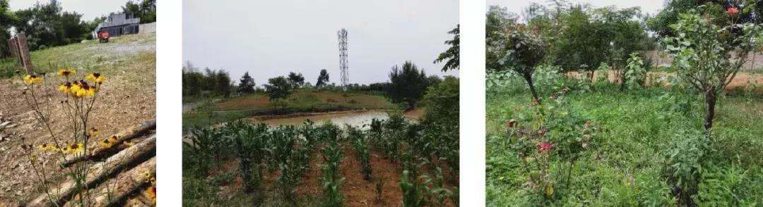 樂土日記 | 我是一名來自新加坡的特殊教育教師