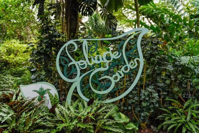 新加坡植物园，钢筋水泥丛林中最奢侈的存在