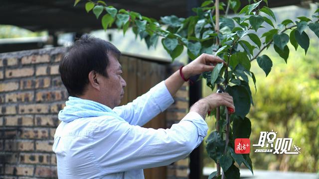 香港TVB老戲骨當紅時隱退，到廣東當農民，一做就是19年