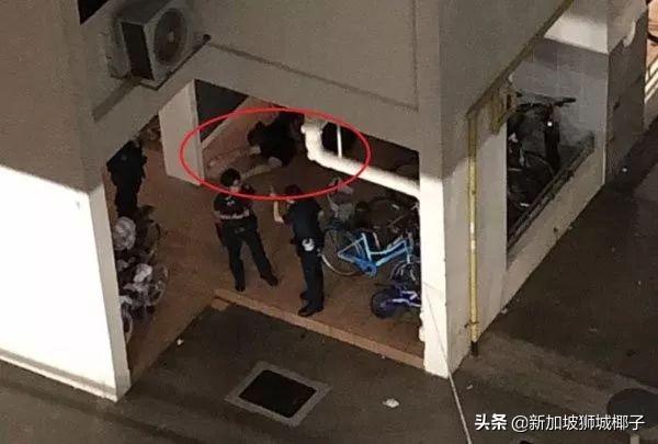 一天两起！新加坡惊天命案：他刺死母亲，活活打死阿嫲...