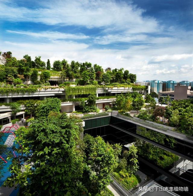 绿化案例·新加坡露台屋顶公园kampung Admiralty