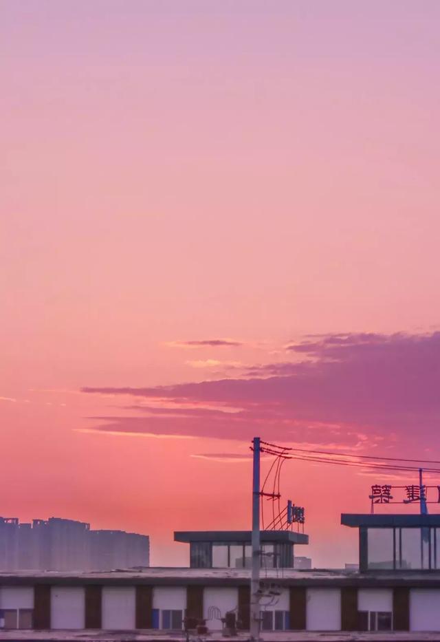 1号线上的小新加坡，还有网红粉黛乱子！