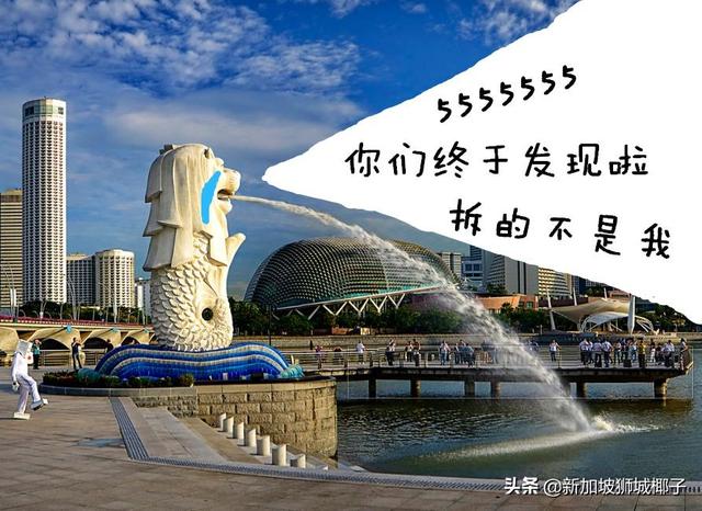 新加坡：我太难了！对不起中国网友，你们都误会我了