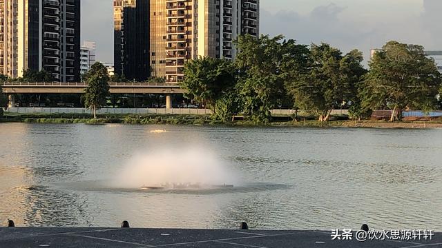 新加坡Jurong Lake Garden裕廊湖公园之美丽花草世界B魅力狮城