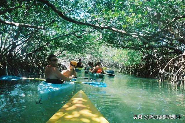 新加坡最后的乡村花园，盘点10个不为人知的绝美离岛~