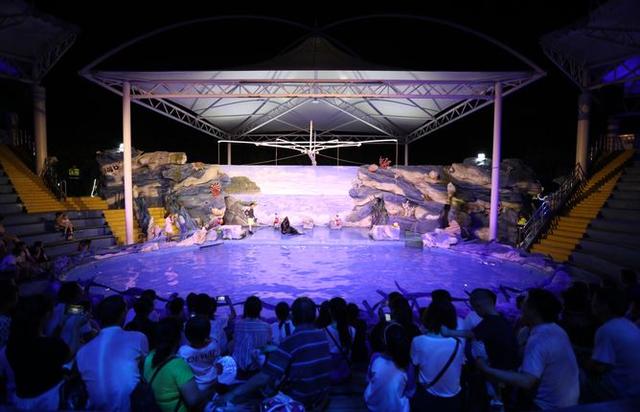 探秘！全國首家夜間動物園就在上海，開放倒計時！大波動物晚上接著賣萌，究竟多精彩？跟著我們去瞅瞅