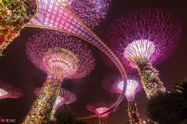 新加坡聖誕打卡攻略，這幾個景點美爆了