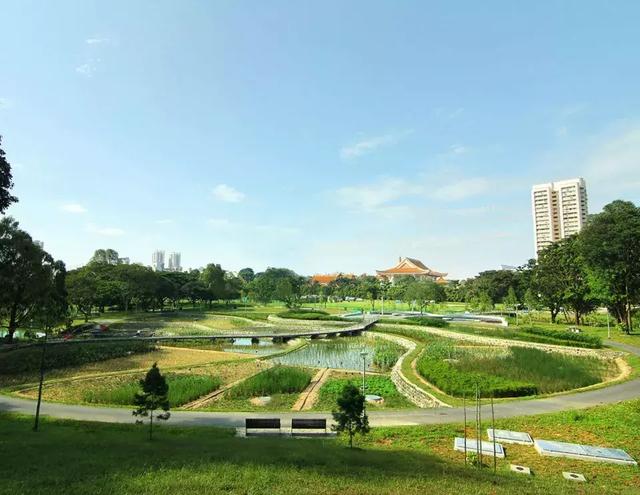 生態跳動的脈搏——新加坡碧山宏茂橋公園