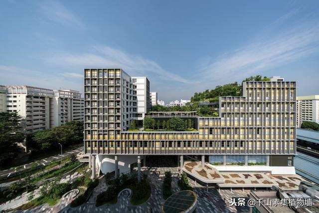 綠化案例·新加坡露台屋頂公園kampung Admiralty