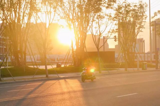 1号线上的小新加坡，还有网红粉黛乱子！