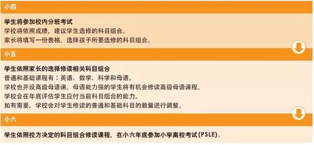 为什么家长把还在上幼儿园的小朋友都送去新加坡留学了？