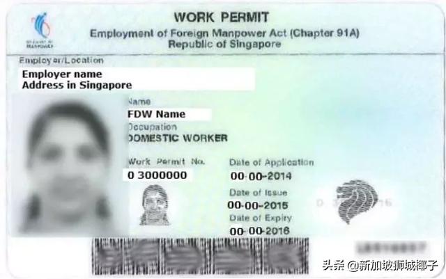 1天後開始實施！中國人出國簽證，辦新加坡准證有重大變化