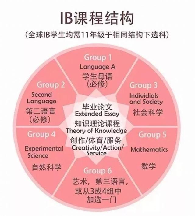 留学新加坡，没去政府学校的学生都去了哪儿？