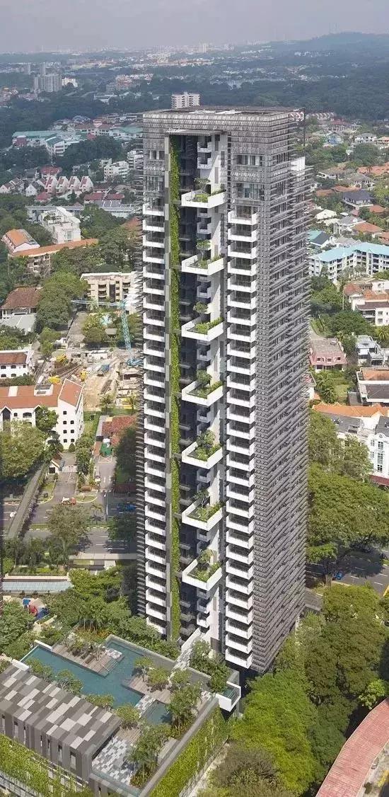 鑒賞 | 沙漠中的綠洲:2020年迪拜世博會新加坡館