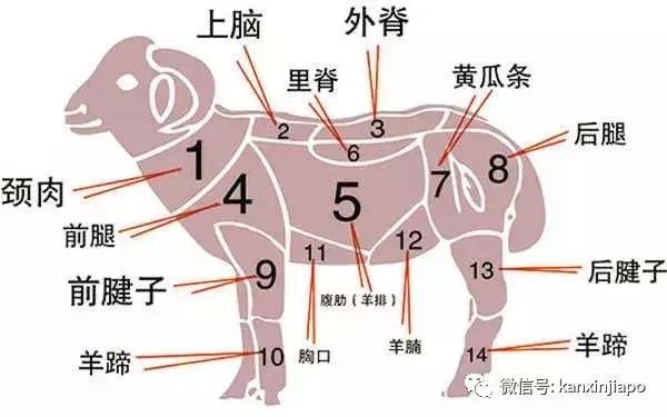 ​全场5折起，开门红小尾羊火锅竟然大放血了？还有$19.8午市套餐