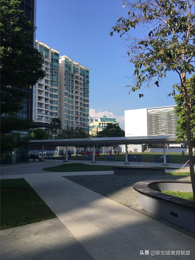 2019新加坡中小學留學新政變化盤點