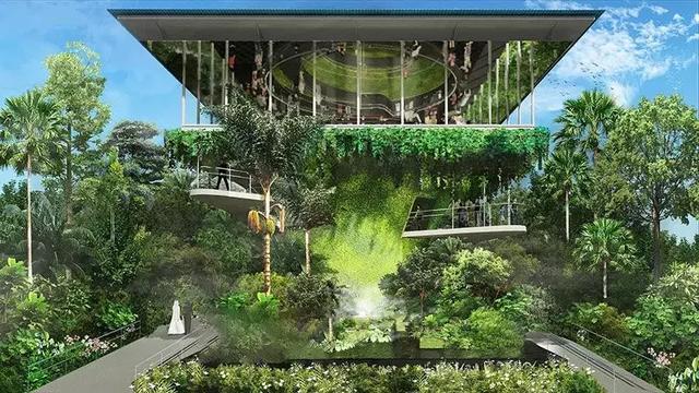 鑒賞 | 沙漠中的綠洲:2020年迪拜世博會新加坡館