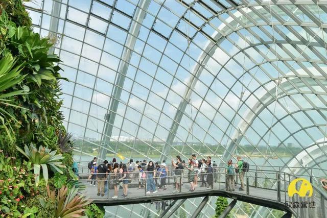 2020新加坡设计思维冬令营 | 走出去，预见“未来城市”！（7天）