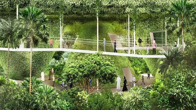 鑒賞 | 沙漠中的綠洲:2020年迪拜世博會新加坡館