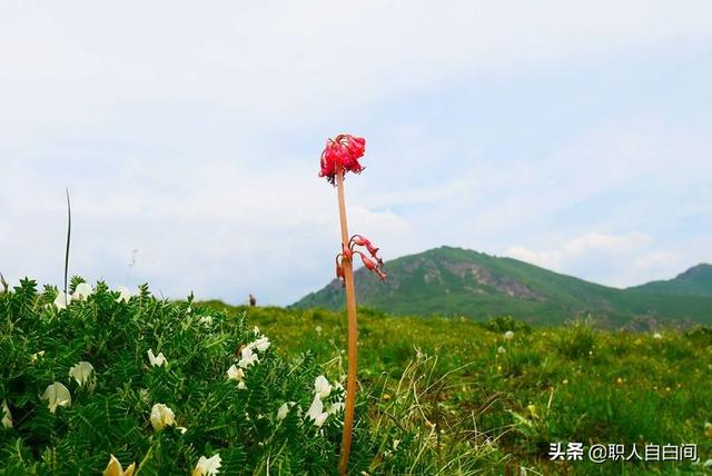 中国大妈不是操场霸，这位56岁的中国大妈，北京周边发现的美景