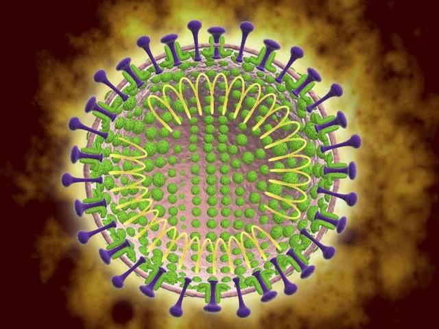 一文讀懂｜關于新型冠狀病毒肺炎，我們應該知道什麽？