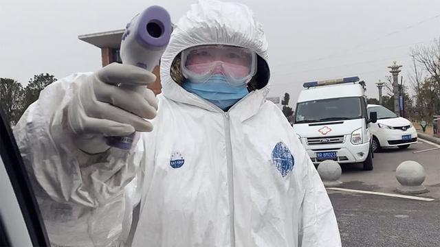 澳蝙蝠因大火侵袭人类领地!25万只闯入市区,30万只包围直升机