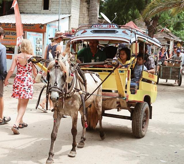 印尼最“环保”海岛，人人出行坐马车，喝饮料都要用“竹管”
