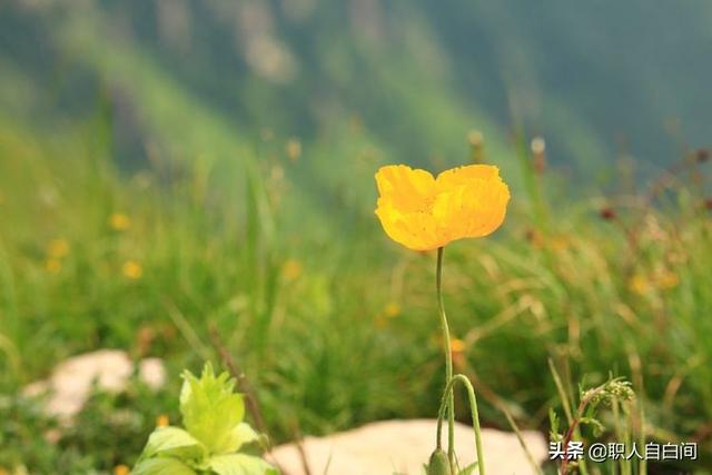 中国大妈不是操场霸，这位56岁的中国大妈，北京周边发现的美景