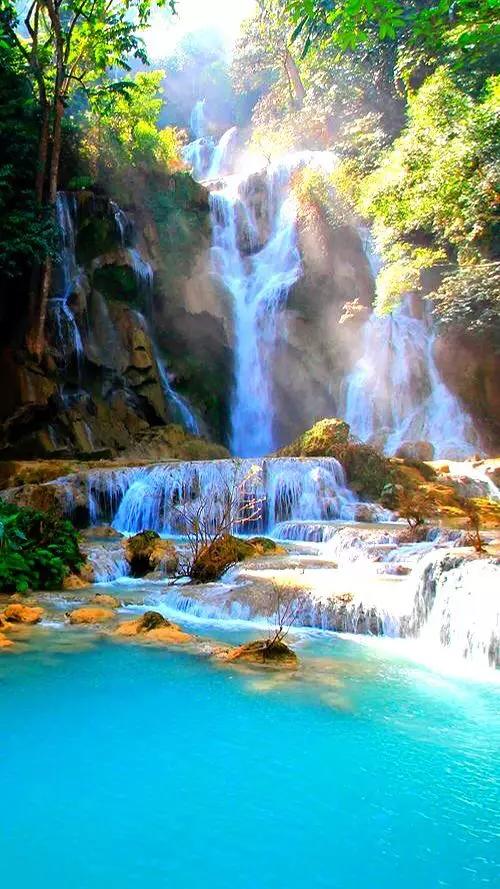 十花，十景，十美人，看完人自醉