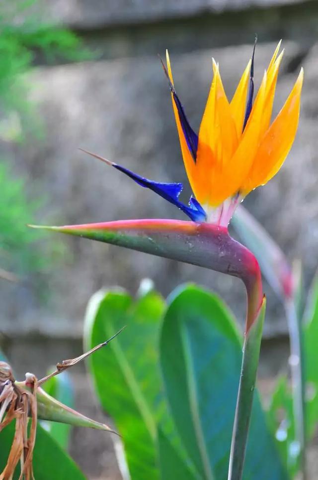 十花，十景，十美人，看完人自醉