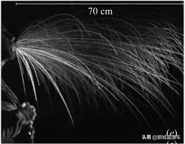 还不戴口罩？科学家做实验，看看喷嚏和咳嗽能飞多远