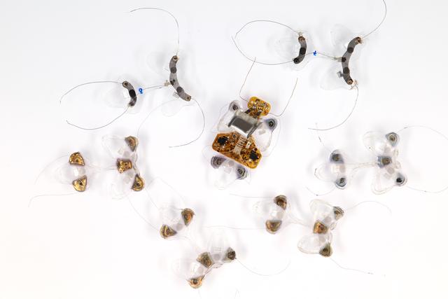 瑞士昆虫机器人：如何在重量仅为0.2克的机器人上，装配复杂元件，并能在任何地形上灵活运动？