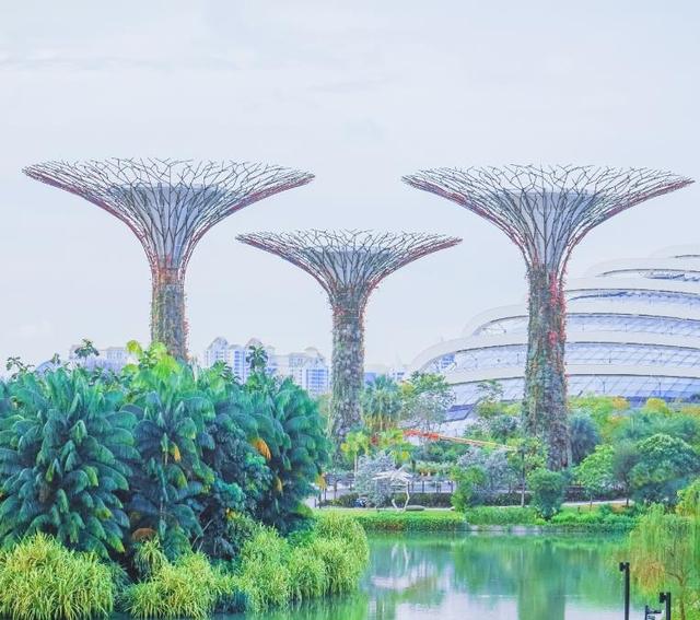 新加坡最美的機場，千只蝴蝶翩翩飛舞，遊客如同置身雨林