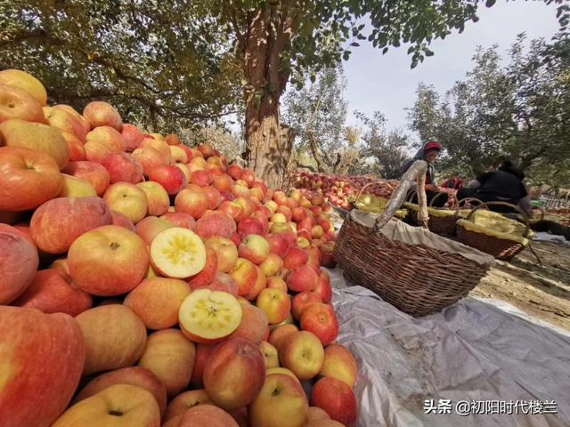 闲鱼卖货，一个普通人能抓住的风口