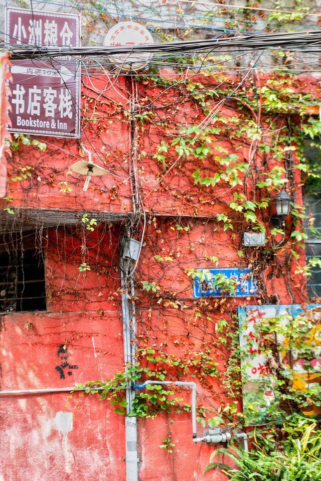 廣州藏了個獨具嶺南水鄉特色的古村落，不收門票，超適合拍照打卡