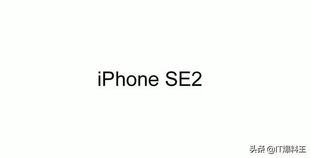 “小钢炮”iPhoneSE 2再度活跃！山芋新配色或成主打色