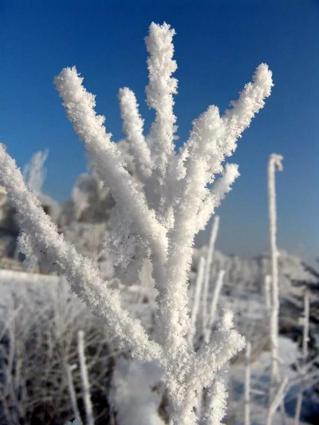十花，十景，十美人，看完人自醉