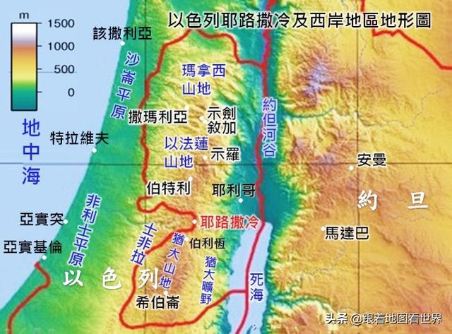 1967年来，中东地区以色列为什么砍倒了巴勒斯坦800万棵橄榄树？