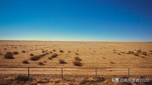 40年的“血汗成果”：中國將消滅世界首個沙漠，卻遭西方媒體質疑