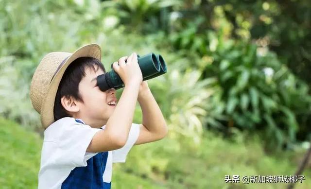 太残忍了！新加坡垃圾桶里惊现弃婴，现场多图曝光...