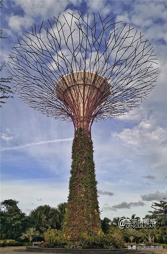 60小時帶你深度體驗花園之城—新加坡