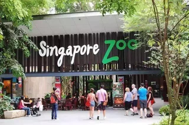 新加坡这20条冷知识, 知道一半算你牛!