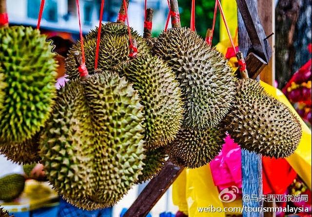 亞洲美食集中呈現，這些冷知識幫你“開胃”