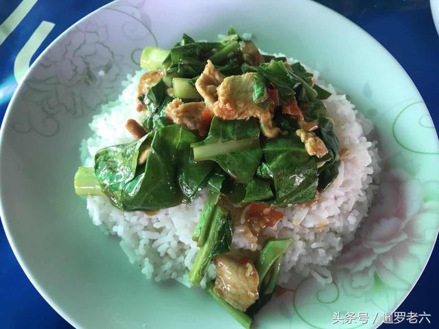 在曼谷吃了一頓廉價午餐,蓋飯、湯面、飲料各兩份,還不到30元!