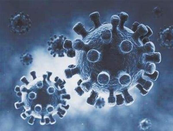 近日武漢發現新型冠狀病毒，疫情來了別慌張，該如何預防？
